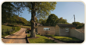 Hammerpond Kennels & Cattery Blog