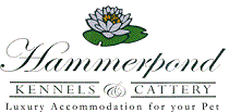 Hammerpond Cattery