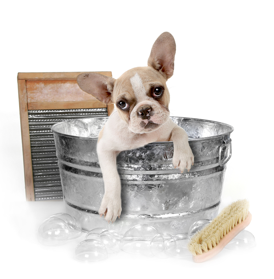 Hammerpond Bathtime