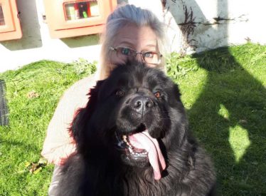 big black dog with owner