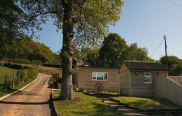 Hammerpond kennels