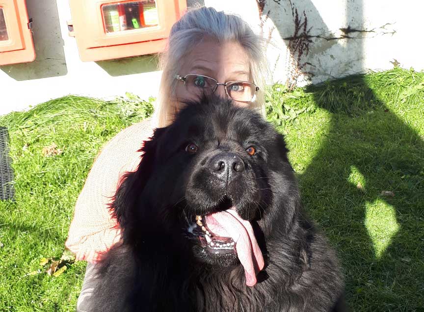 big black dog with owner